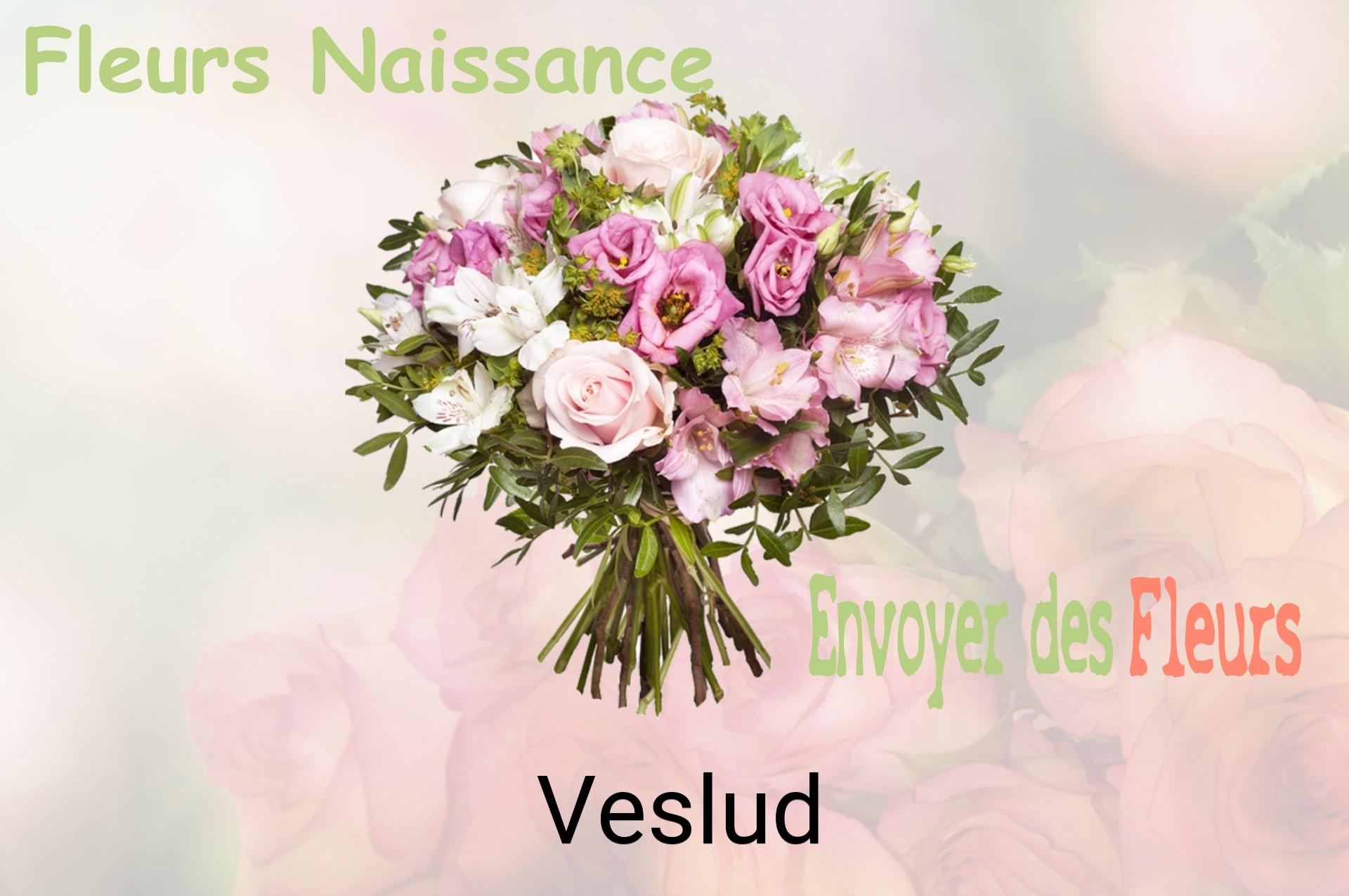 Bouquet de fleurs de naissance livré à Veslud