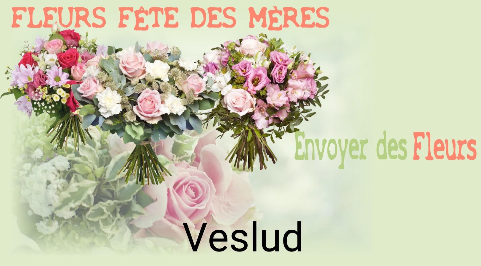 Bouquet de Fête des Mères livré à Veslud